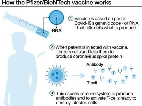 How the Pfizer/BioNTech vaccine works. Pic: PA