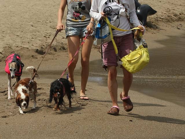 Pet owners planning to take their pets on holiday to face new restrictions on EU travel