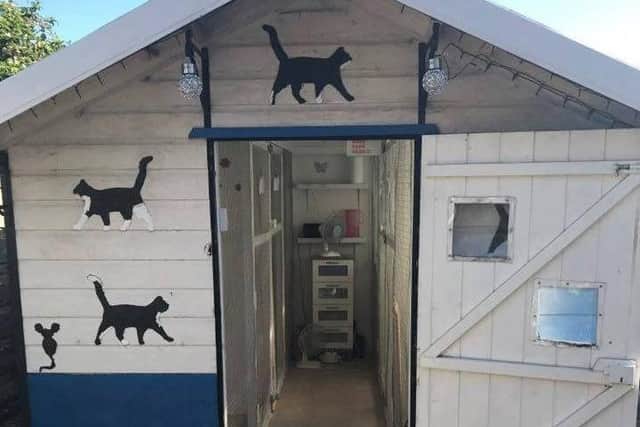 Sandy's Cattery in Slater Lane, Leyland will close at the end of January 2021, says its owner Sandy Mcvitie. Pic credit: Sandy Mcvitie