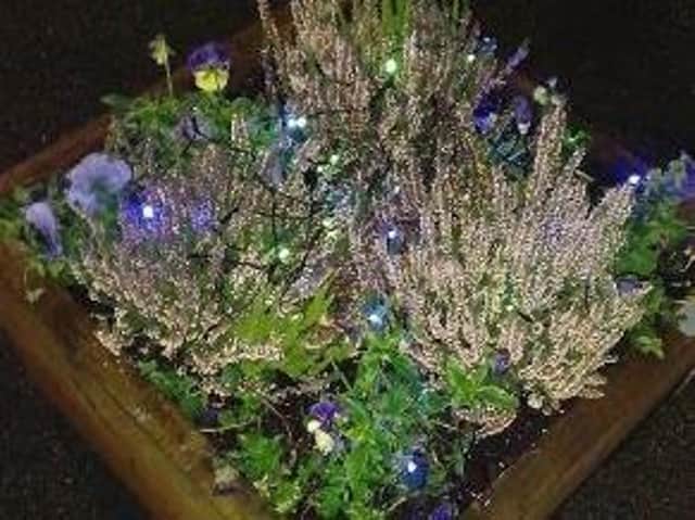 The lights, decorating planters in Ashton have now been stolen twice