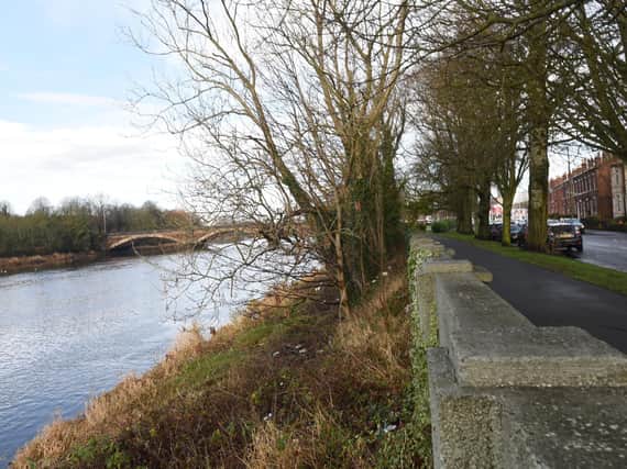 Around 590 trees on the banks of the Ribble along Broadgate and Riverside will be removed as part of work to upgrade flood defences - but those lining the roadside will remain (all images: Michelle Adamson)