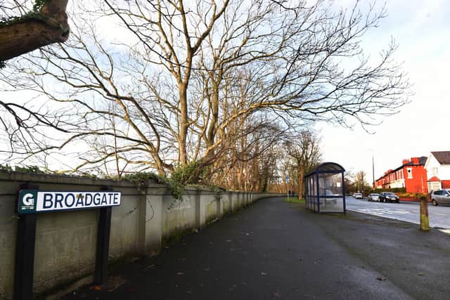 Almost all of the trees to be cut down are on the riverbank side of the wall along Broadgate - council documents state that many of them are suffering from a fungal disease known as "ash dieback"