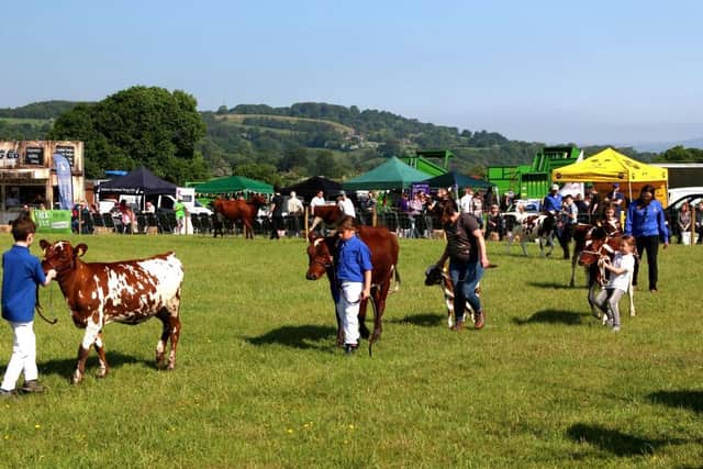Great Harwood Agricultural Show