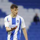 Jayson Molumby signed for Preston North End on loan from Brighton this week