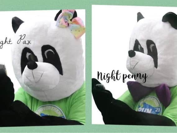 Pax and Penny Panda