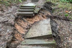 The landslip has wrecked a path leading downhill to the woods
