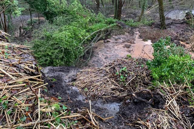 Scene of a landslip off Church Avenue, Penwortham