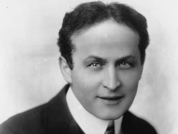Houdini... not the type to enjoy sitting in front of the fire, sipping a cocoa and doing a sudoku