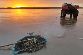 The cockling industry in Morecambe Bay has effectively been shut down overnight due to Brexit, claims a local fisherman.