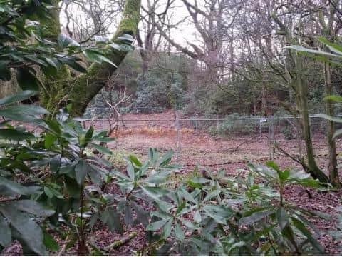 The proposed site at Crook O' Lune Caravan Park.