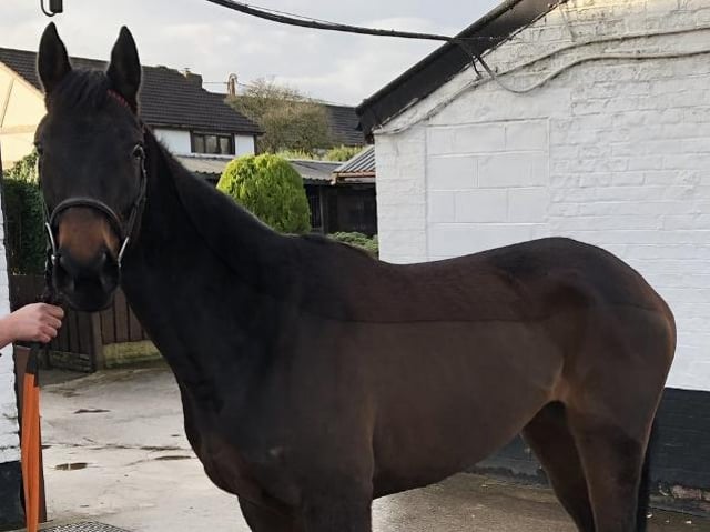 Big Interview Racehorse Owner David Braithwaite Lancashire Evening Post