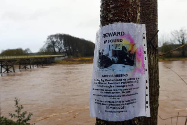 Dean and Jessica have placed missing posters up for their dog, Kash
