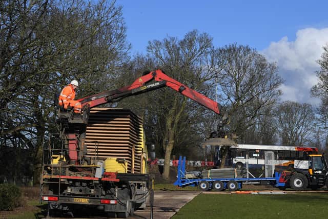 Tree felling along the River Ribble in Preston