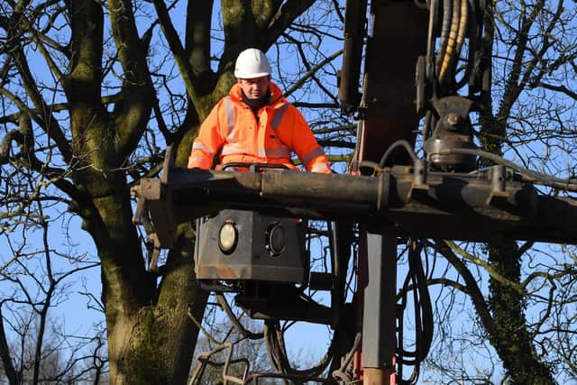Specialist equipment is needed to tackle the trees along the river banks