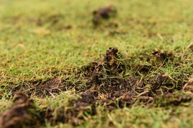 The bowling green at Vernon-Carus Sports Club, off Factory Lane in Penwortham, has been churned up after the turf was trampled on a group of men playing football