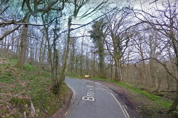 Land Rover Tree Crash Man dies after Land Rover crashes into tree and catches fire near ...