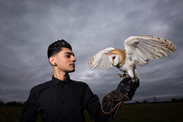 Bailey Lister, co-founder of Hugo's Small Animal Rescue and Sanctuary, with Twilight the barn owl. Photo: Daniel Martino/JPI Media