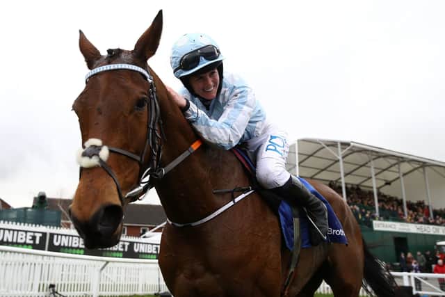 Honeysuckle is one to watch in the Champion Hurdle at Cheltenham