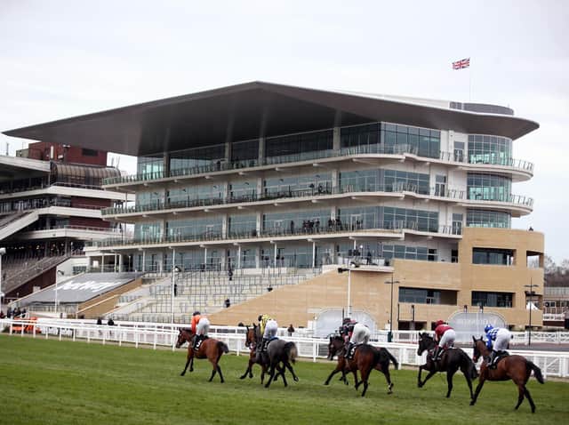 Runners pass the empty stands at Cheltenham