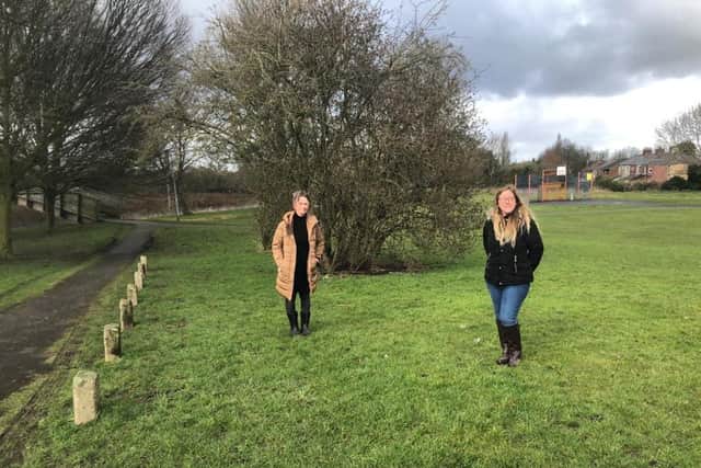 Jo Hindle-Taylor and Nicky Peet have been campaigning to bring some life back  to "Strawberry Valley"