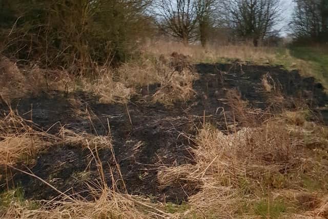Deliberate attempts appear to have been made to start grass fires in Grange Park on Sunday evening (March 21)