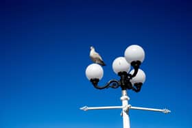 Lancashire County Council cut street light spending by more than £8 million in five years