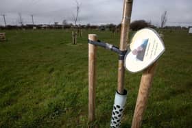 1,000 trees have now been planted at the 65-acre site in Wrea Green. Here, a tree is dedicated to Paul Ramsden