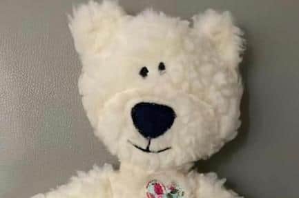 Ollie Bear is being made and sold by Ian's wife Jean to raise funds for the mercy mission to The Gambia