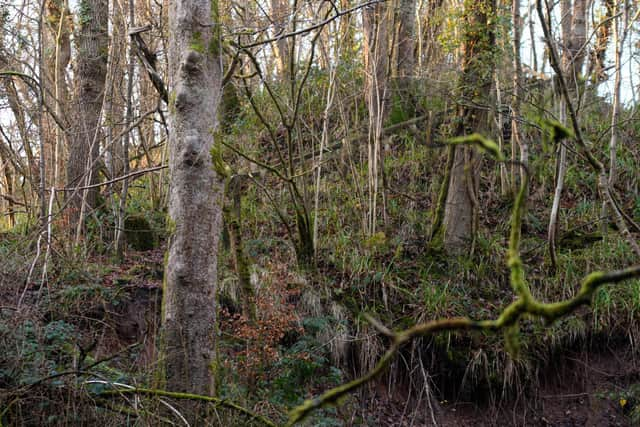 One rambler clambered through rough terrain in the absence of a signed diversion route