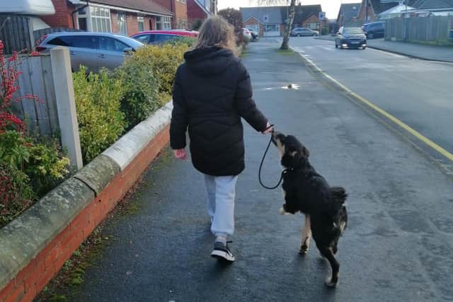 Jessica walking Oscar, who has been rescued from a life of hardship in Romania.