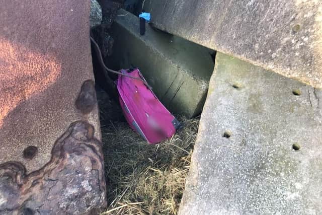 The body of a dog was discovered inside a locked suitcase near the River Mersey in Liverpool (Credit: RSPCA)