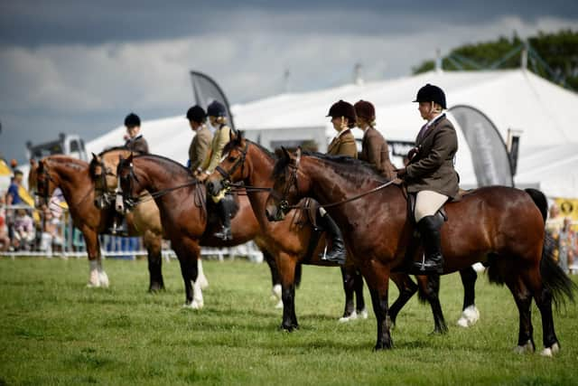 The Great Eccleston show