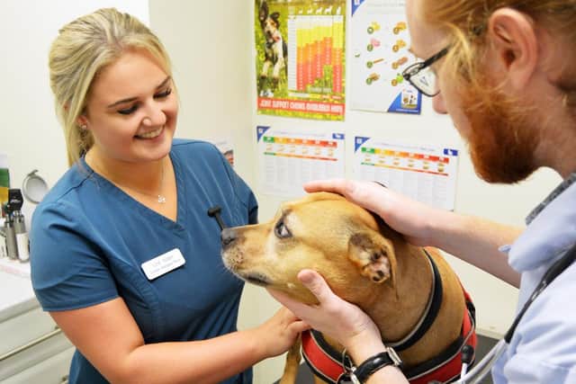 Oakhill will be taking on two new vets and two nurses when the centre opens this summer
