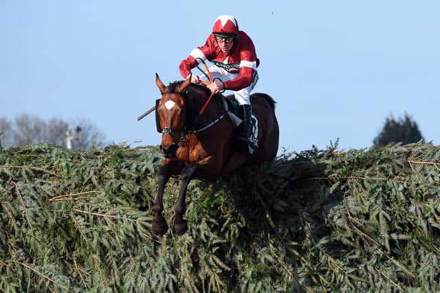 Tiger Roll
