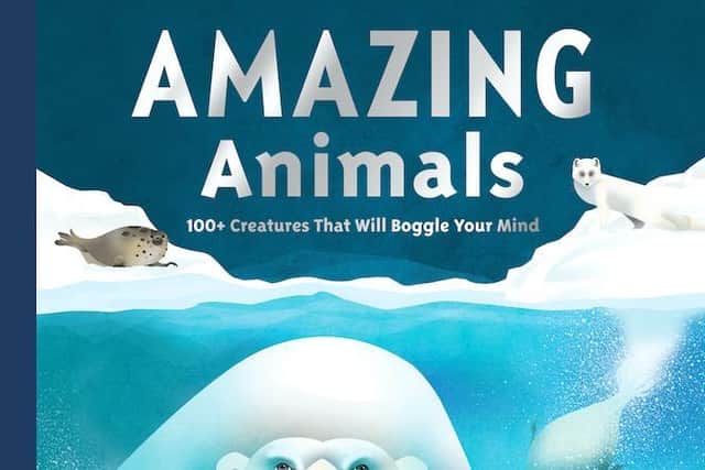 Amazing Animals