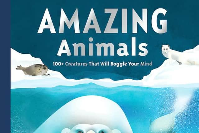 Amazing Animals