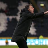 Hull City head coach Shota Arveladze.