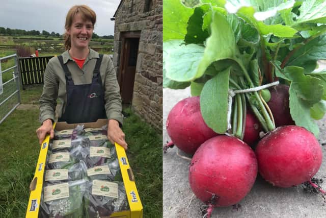 The Plot, a new initiative growing organic fruit, vegetables and herbsm has launched its first ever cropshare scheme.