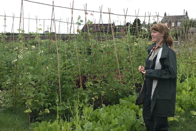Pictured: Tamsin Ogle, Lead Grower at The Plot. All the vegetables are produced at Old Holly Farm near Garstang and at White Lund between Lancaster and Morecambe.