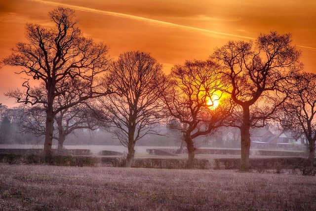 The sun will continue to rise over open fields at Bushells Farm off Mill Lane in Goosnargh after plans to build 140 homes on the land were dismissed at a planning appeal (image: Fred Rumming)