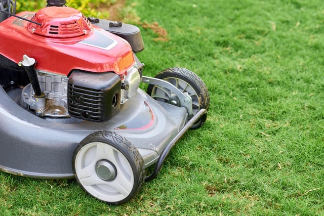 Rotary lawnmowers are probably the most popular on the market, owing to their versatility. They'll tackle most jobs and can be self-propelled so you don't have to worry about the effort of pushing them. They come with ignition start as well as pull start and some with or without a roller for those lovely lines.