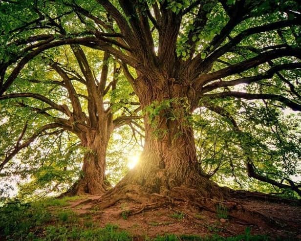 Lancashire has dozens of places to visit where you can simply enjoy nature