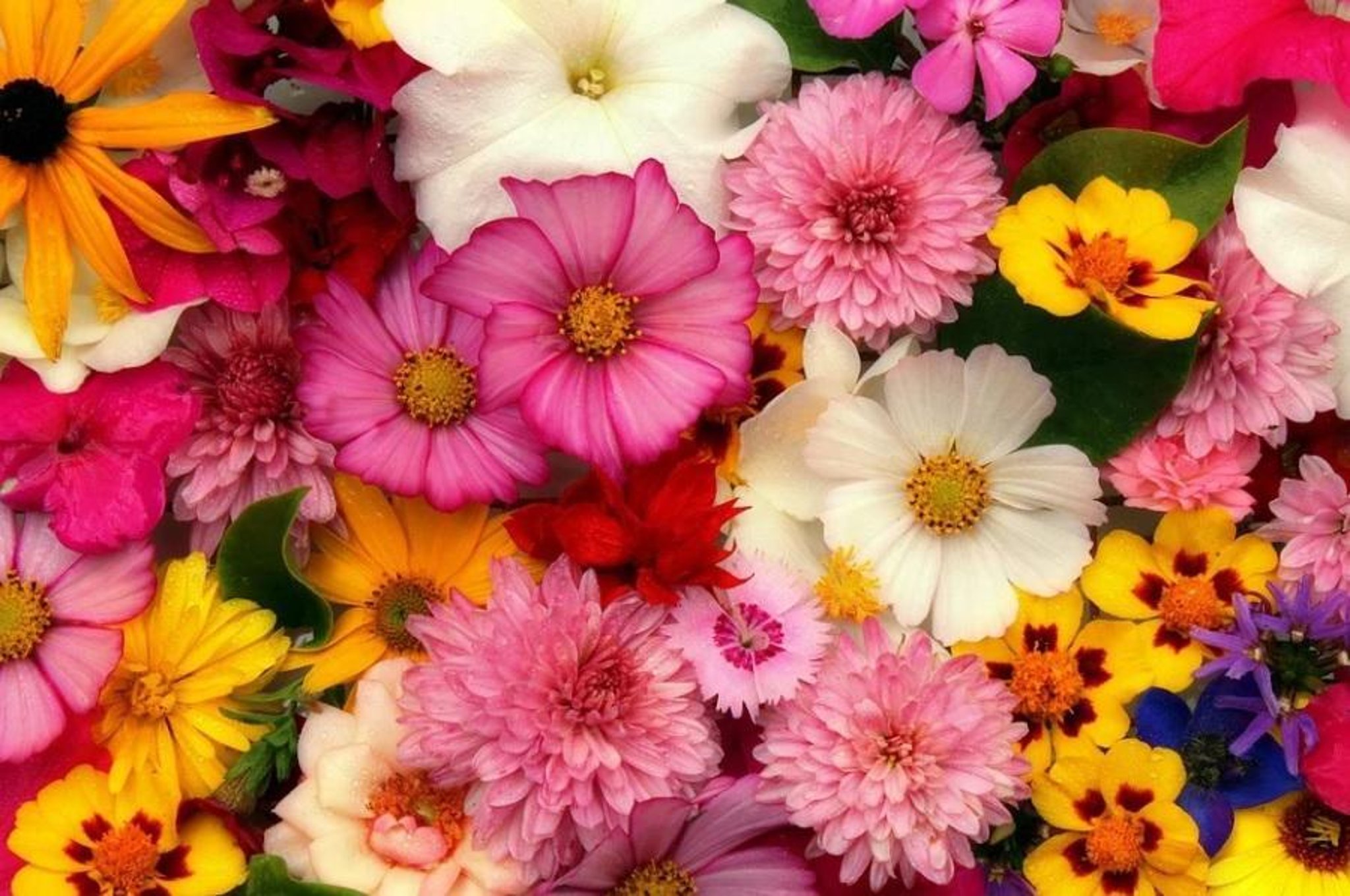 Mother's Day 2022: 10 of the best florists in Preston according to Google reviews to spoil your mum on March 27