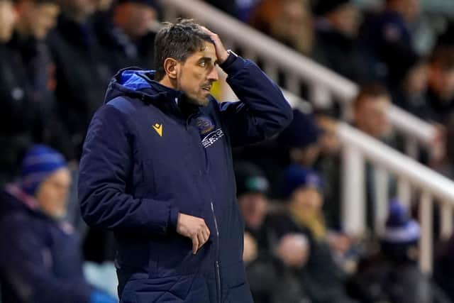 Reading boss Veljko Paunovic.