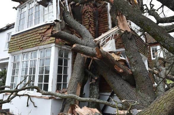 Storm Eunice: Homes still without power as cost of clean-up operation ...