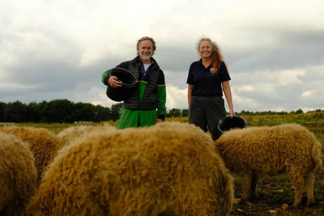 Tales From A Kitchen Garden is running across two weeks Mon-Fri from Monday 28th February on BBC Two at 6.30pm each night.