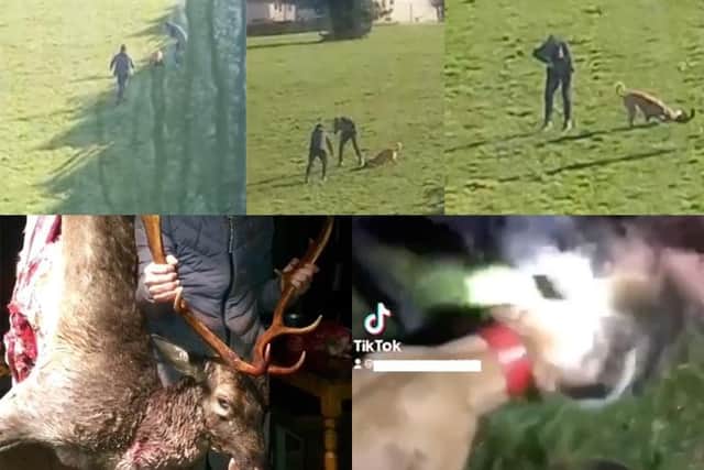 These shocking images obtained by RSPCA inspectors show the cruelty three Burnley teenagers inflicted on animals