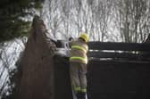 Pictures from the scene show the roof of the barn collapsed after being engulfed by the flames.