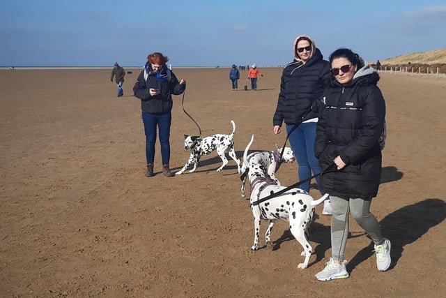 Heather Duerden, 36, from Staining, who attended the event with her one-year-old dalmatian Vala, said: "Dalmatians are quite an uncommon breed. You don't see many of them around, but they're all coming out today.