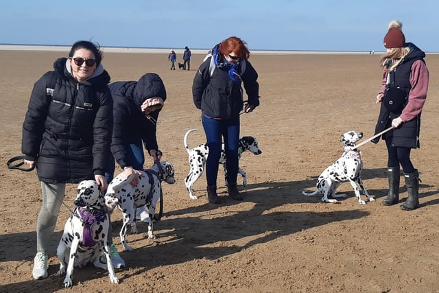 Heather said: "Because dalmatians are such a niche breed, there's a very close-knit community of people to talk to and get information from.